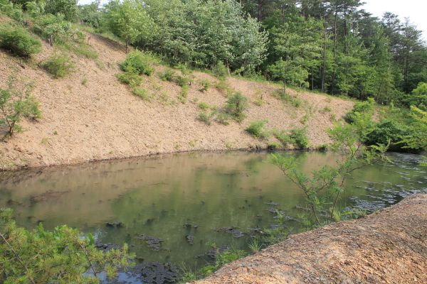 Pond Erosion Repair in Nashua