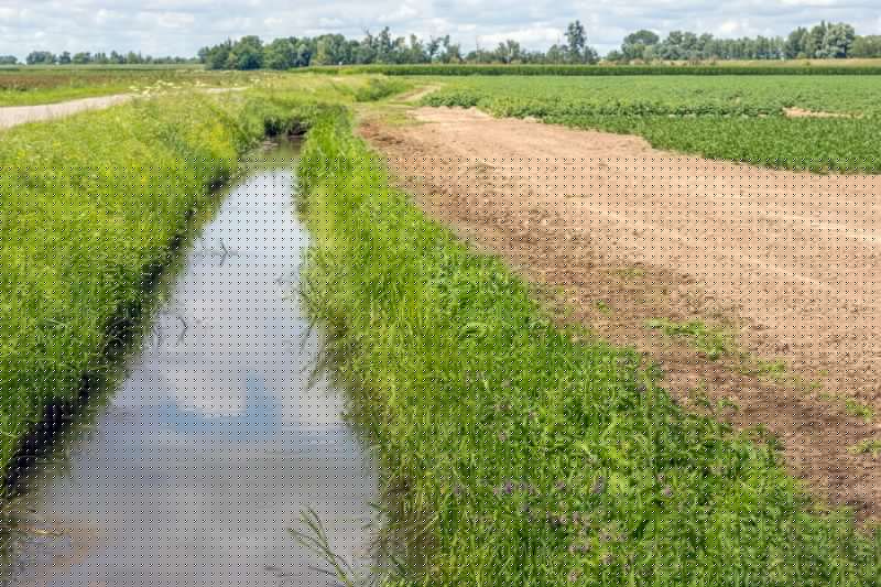 Drainage Ditch Construction