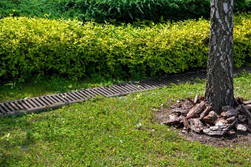 Drainage Grading Service detail