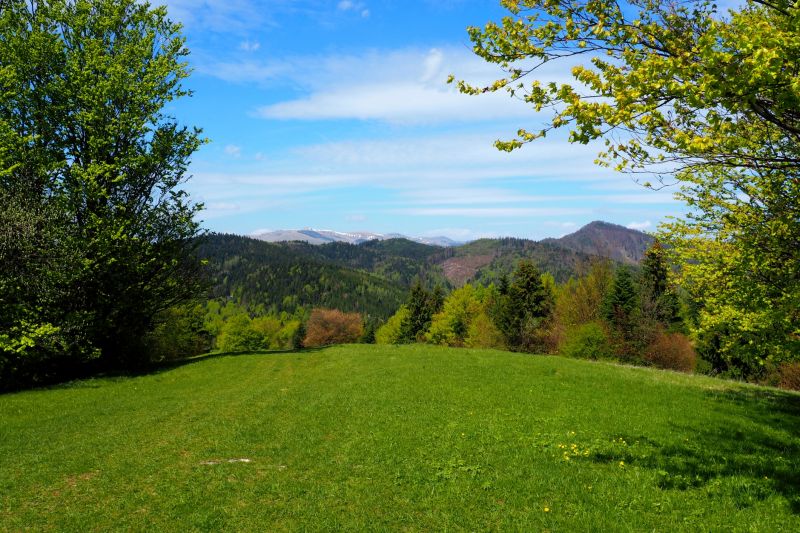 Landscape Grading Service