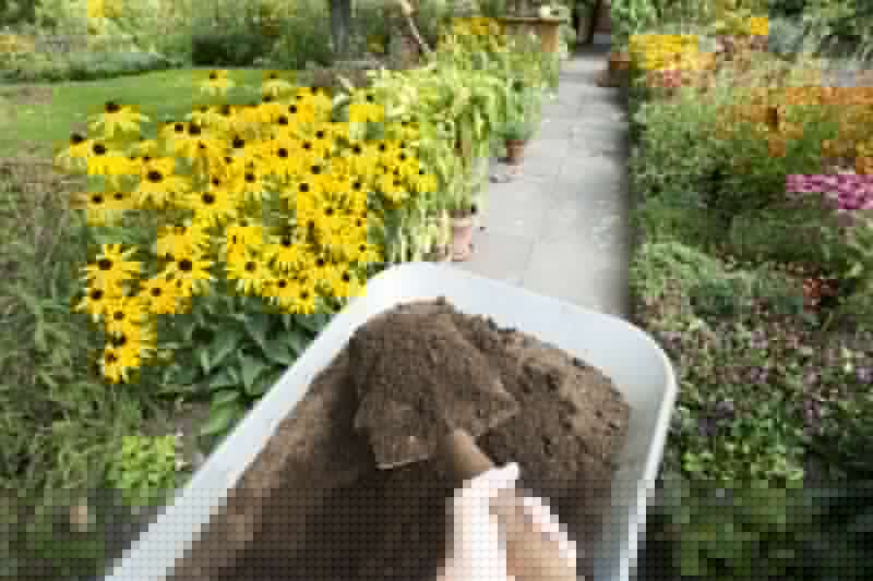 Topsoil Leveling